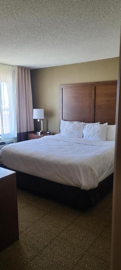 Comfort Inn Lexington Buitenkant foto